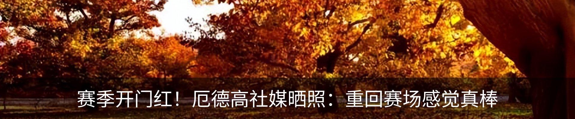 资讯动态